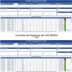 Consulta Registros HIS